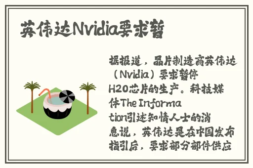 雷电将军做剧烈运动打扑克